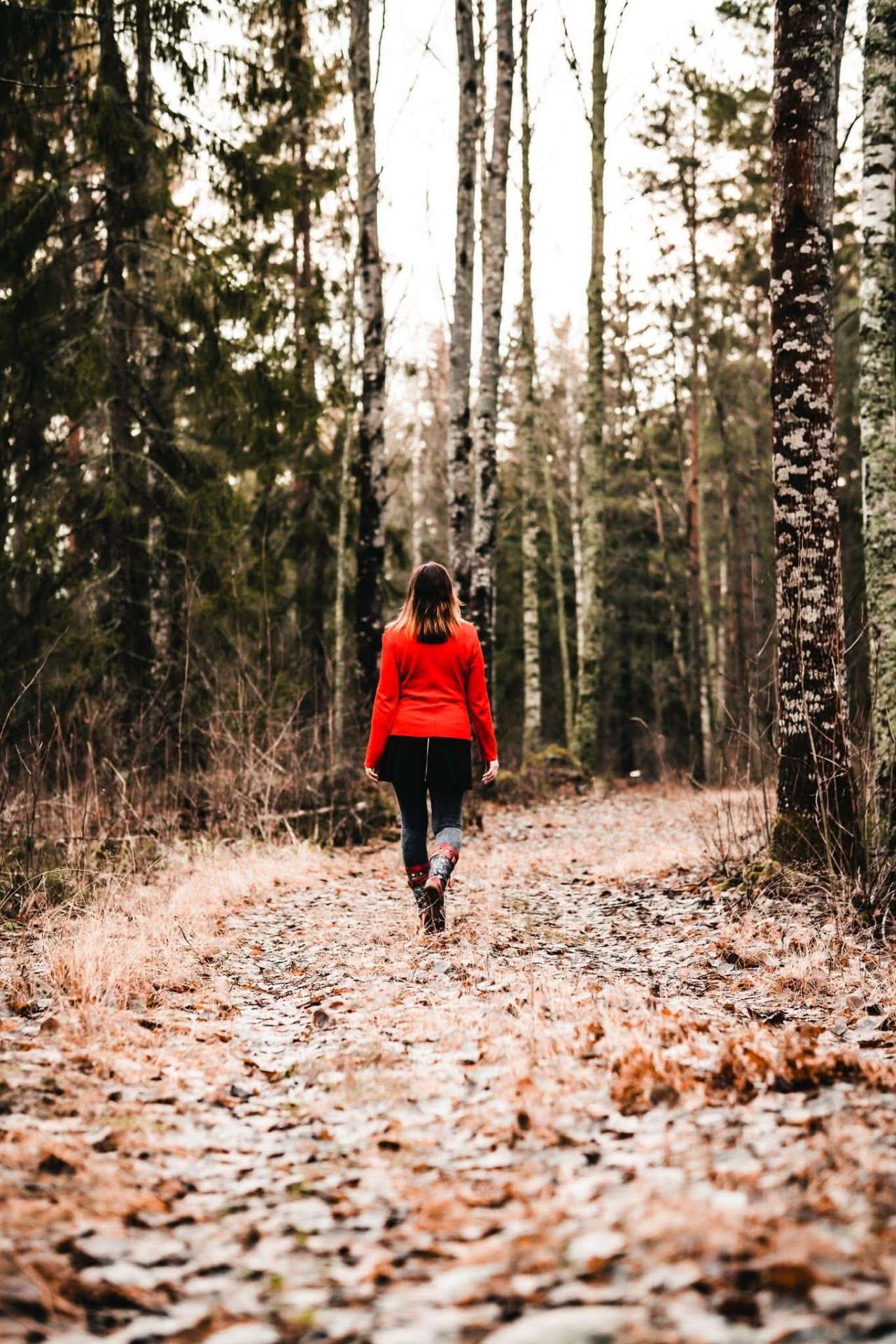 A woman in a red coat walking forward on a forest path. A sense of hope and forward motion.